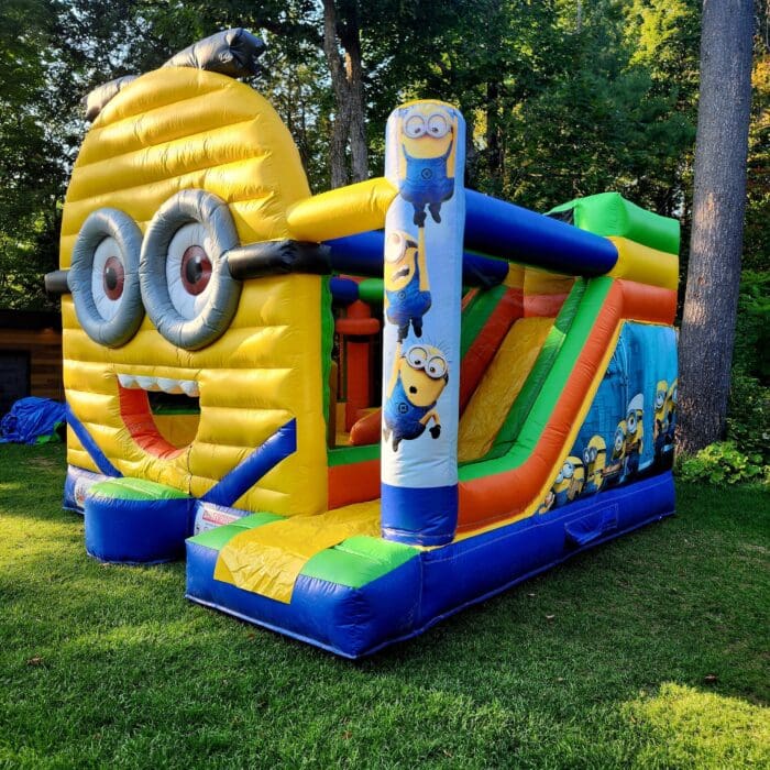 MINION 2 MINION 2